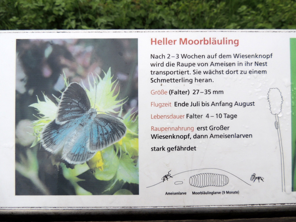 DSCN2843_JPG-1369507920