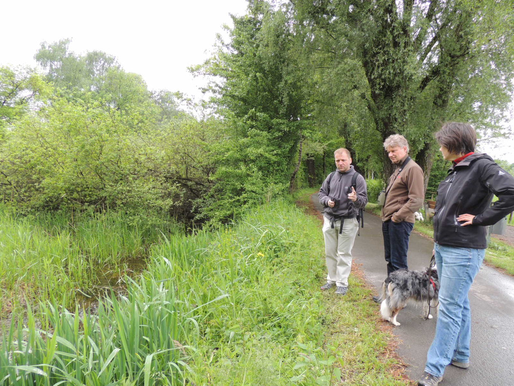 DSCN2858_JPG-1369507936