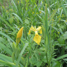 DSCN2863_JPG-1369507940