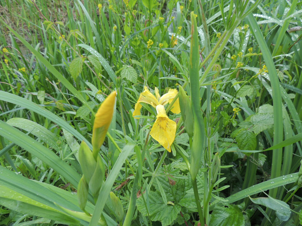 DSCN2863_JPG-1369507940