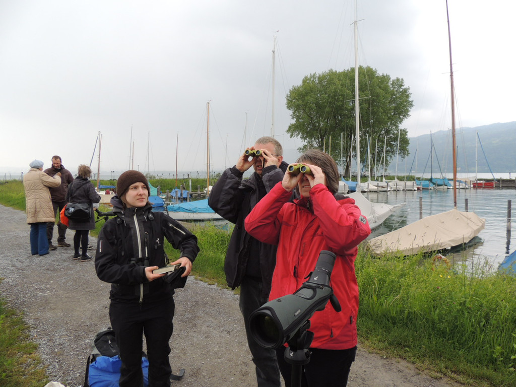 DSCN2910_JPG-1369507997