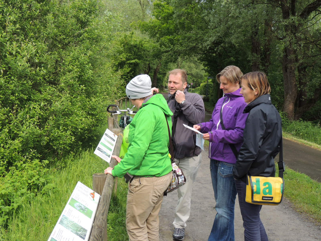 DSCN2877_JPG-1369507960