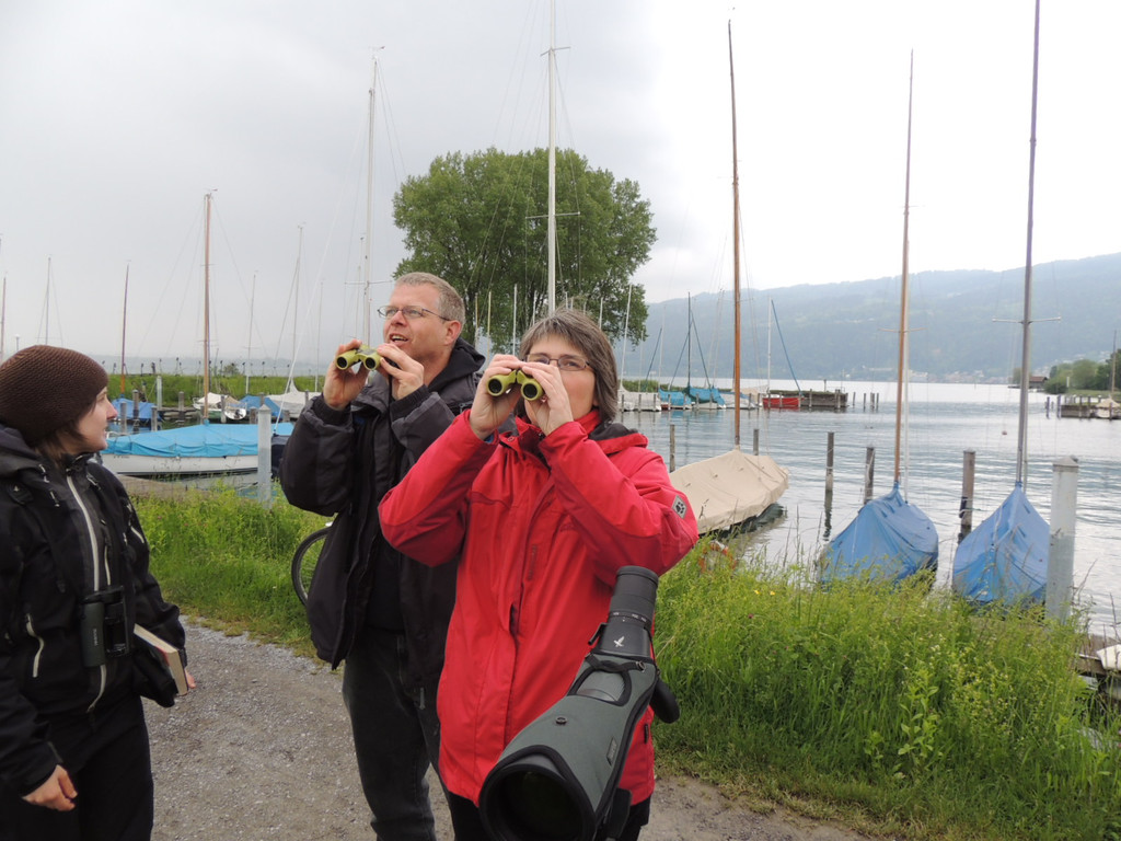 DSCN2911_JPG-1369508001