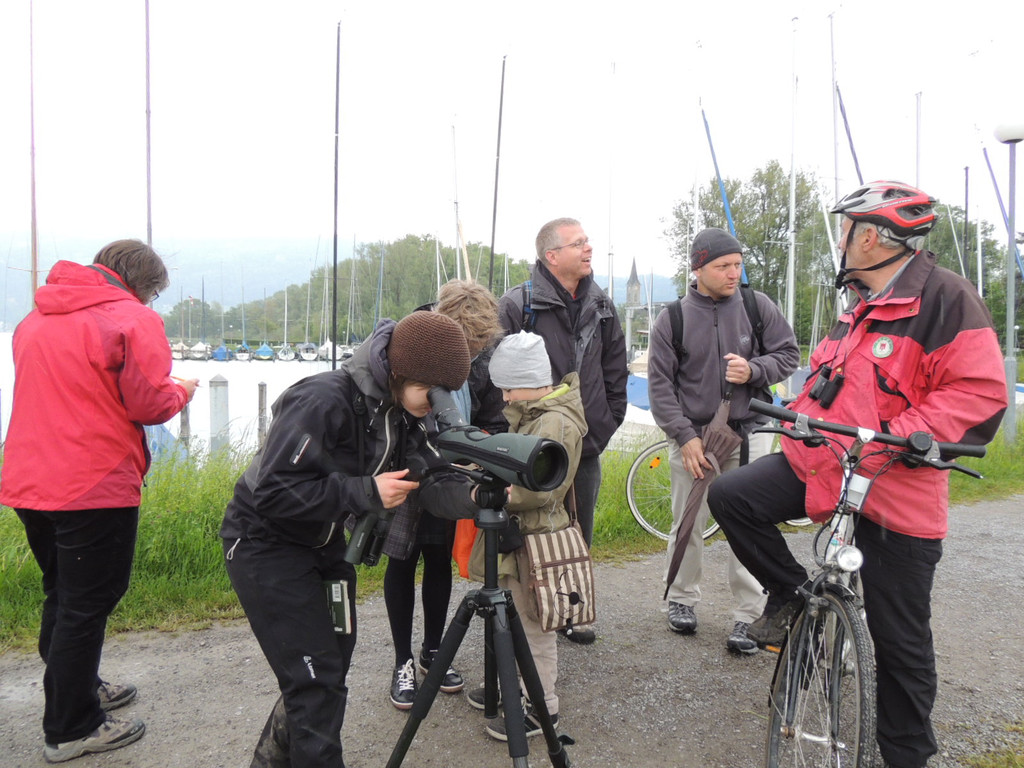 DSCN2920_JPG-1369508005