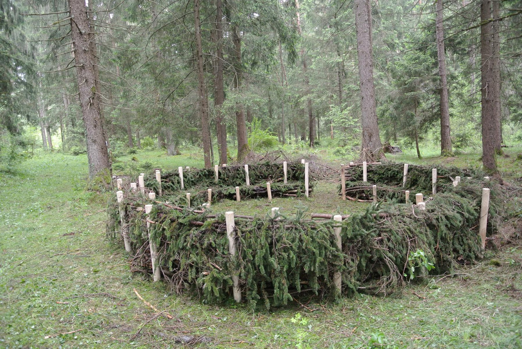 DSC_3119_JPG-1369510349