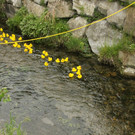 IMG_7758.JPG