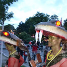 DSC_4786.JPG