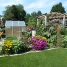 Medwed Resi_Walter-1_jpg-1369556340