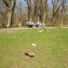 Schwarzbad Abfall Symbol 2012 _8__jpg-1369557019