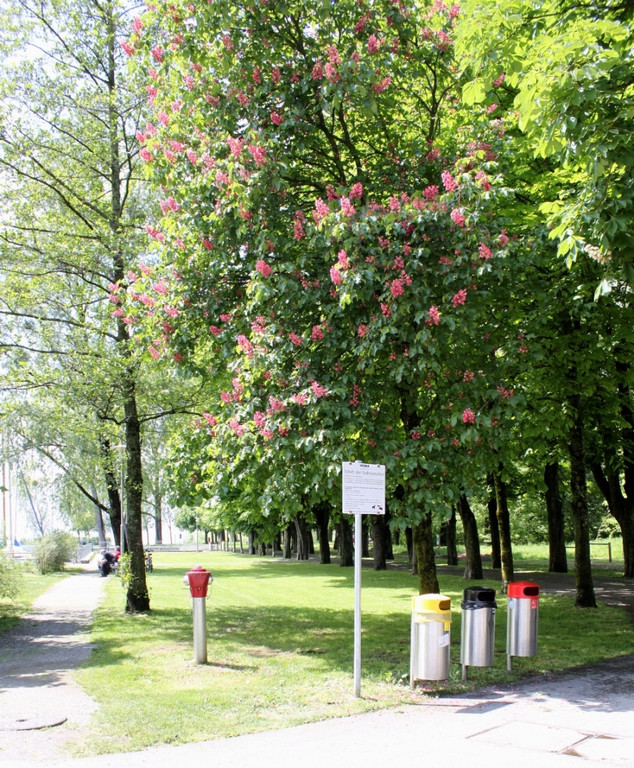 Abfall Seeanlagen PLAKATE 23-05-2013 _20__jpg-1369556904