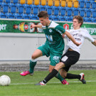 IMG_2380_jpg-1369566016