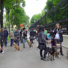 Hundebesitzer demonstrierten beim Soka Walk in Wien