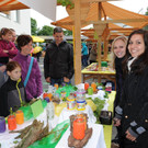 Kindergarten Markt 021.JPG