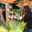 Kindergarten Markt 103.JPG