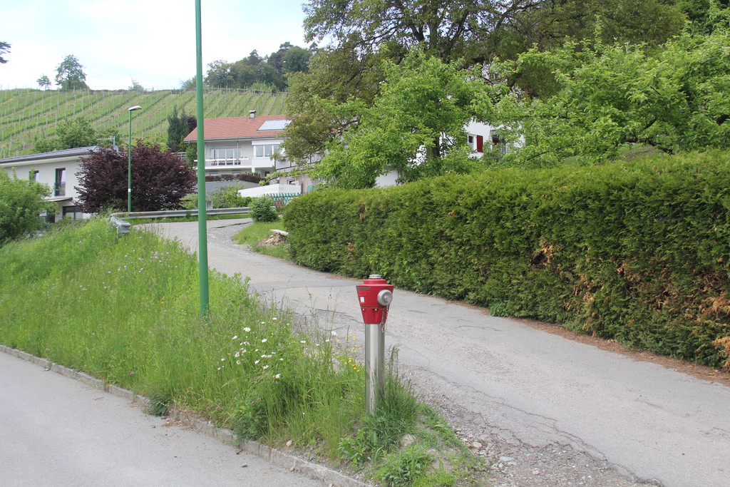 R__slegasse_2_JPG-1369580794