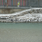 P1080270.jpg