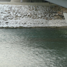 P1080274.jpg
