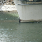 P1080277.jpg