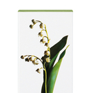 PENHALIGON_S_LILY_EDT.jpg