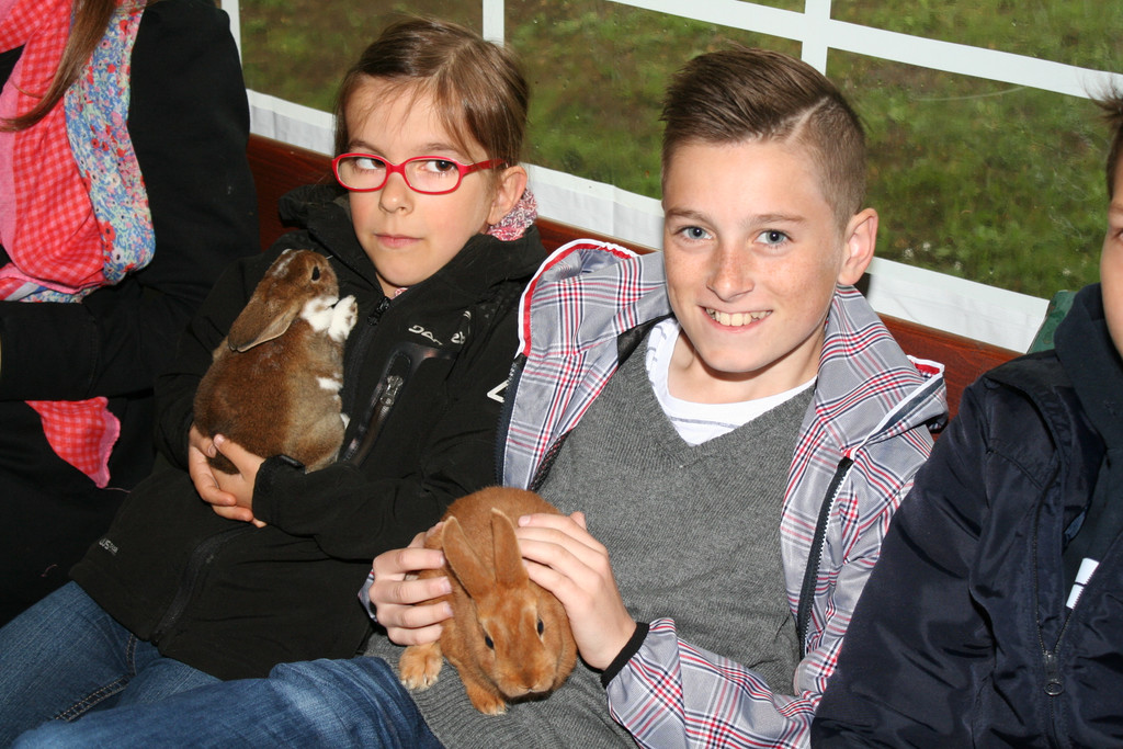 IMG_8937_JPG-1369592603