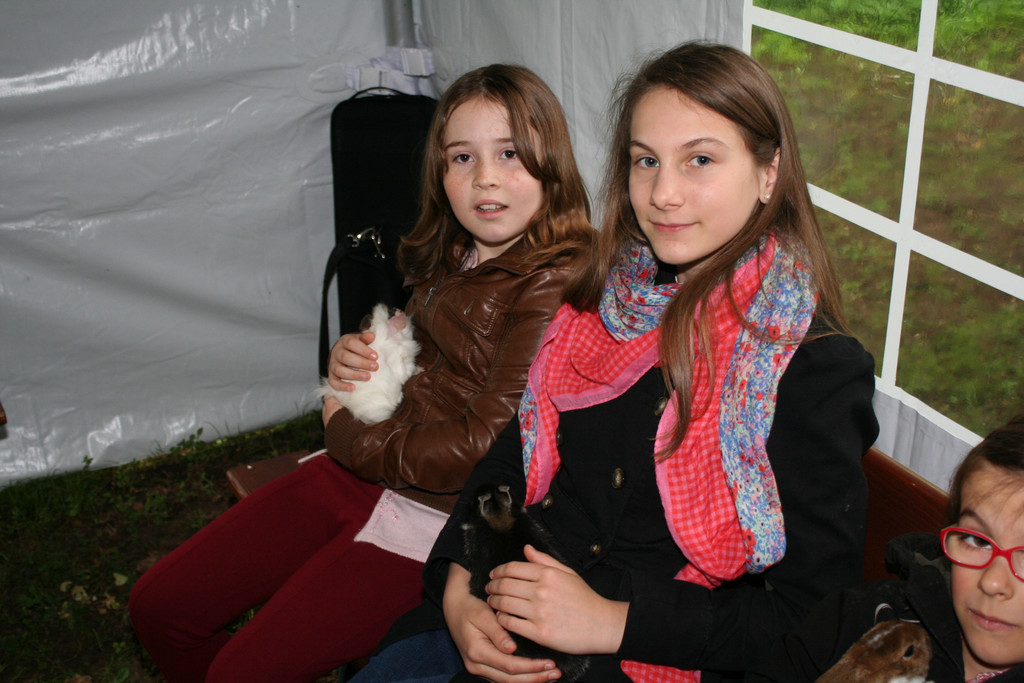 IMG_8939_JPG-1369592615