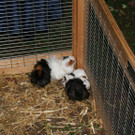 IMG_8940_JPG-1369592631