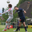 IMG_3401_jpg-1369598540