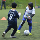 DSC_9837_jpg-1369603273