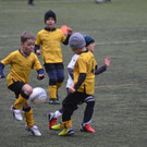 DSC_9845_jpg-1369603276