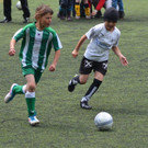 DSC_9851_jpg-1369603282