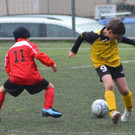 DSC_9926_jpg-1369603320