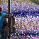 IBD1389-20130526.jpg