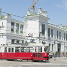 821138151-1.jpg