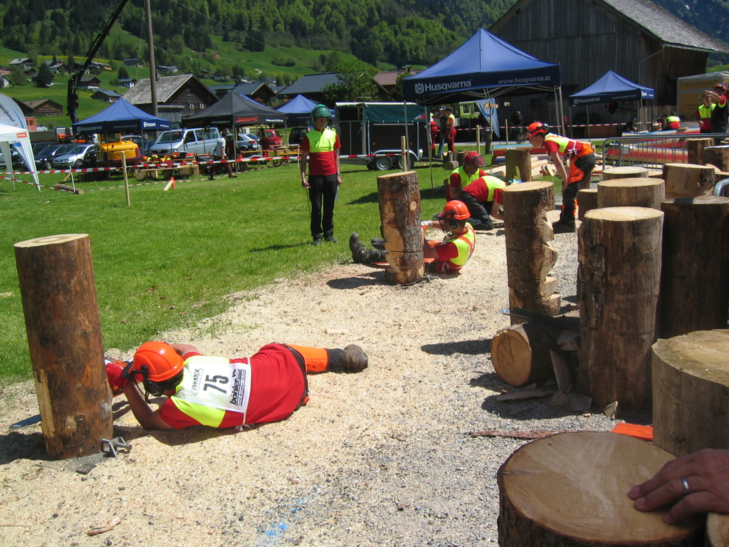 IMG_0551_JPG-1369638583