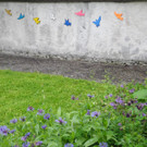 DSCN9890_JPG-1369640175