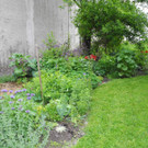 DSCN9892_JPG-1369640230