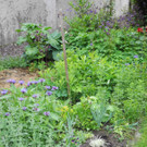 DSCN9893_JPG-1369640259