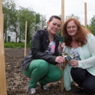 Weingarten im Nonntal