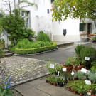 P5257741.jpg