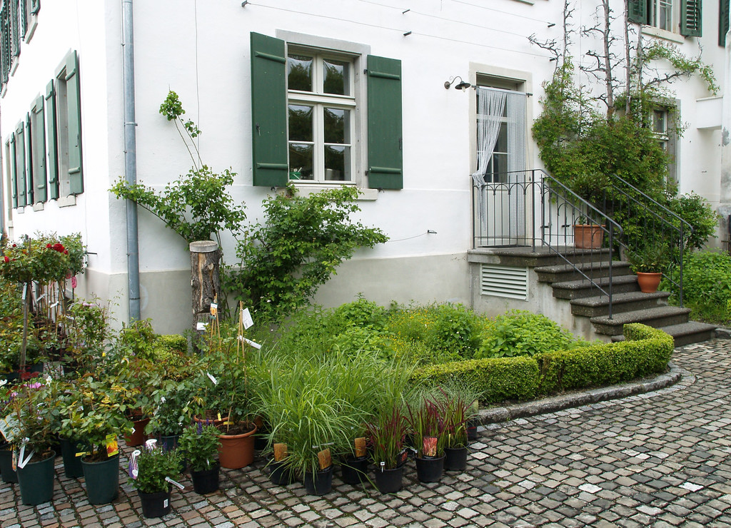 P5257742.jpg