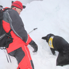 Lawinen- und Suchhunde absolvieren Übung