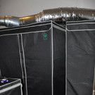 Cannabis-Anbau in Wiener Wohnung (27.5.)