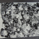 DSCN8219_JPG-1369688842