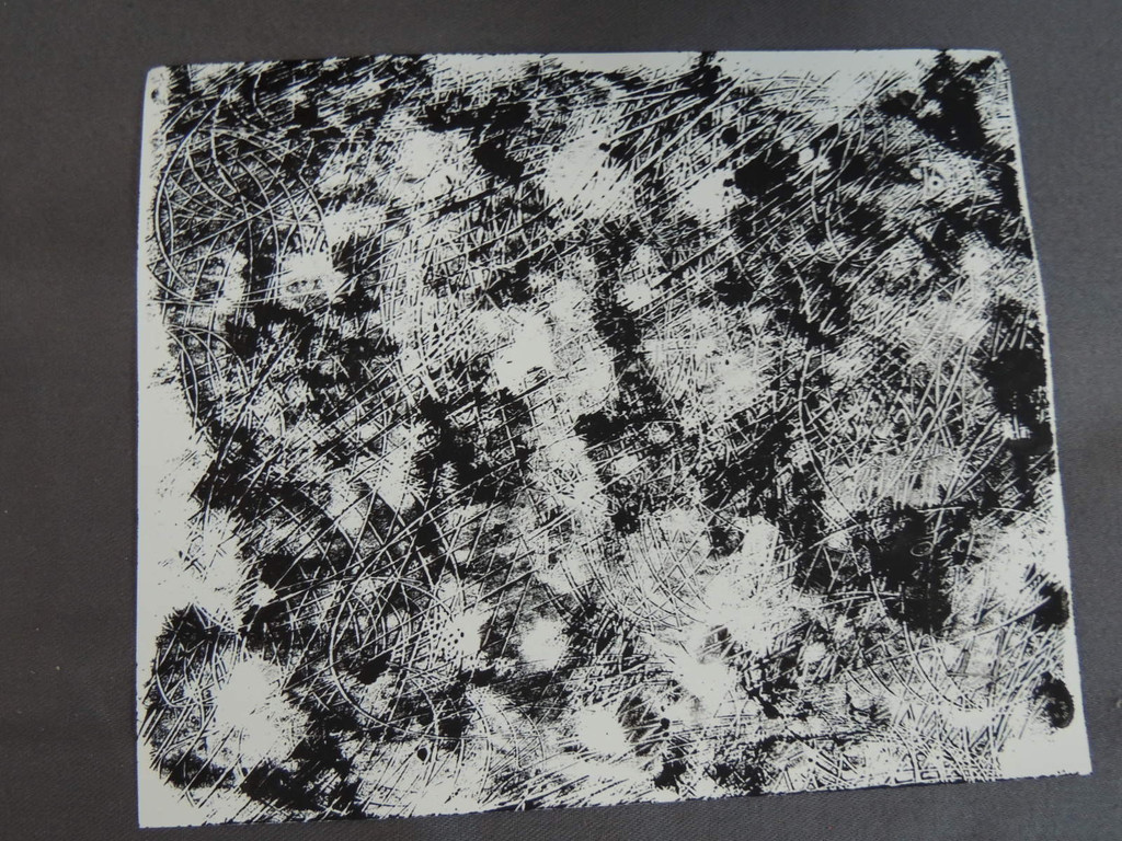 DSCN8219_JPG-1369688842