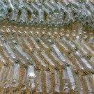 DSCN2677_JPG-1369689868