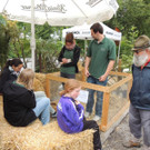 DSCN2474_JPG-1369694221