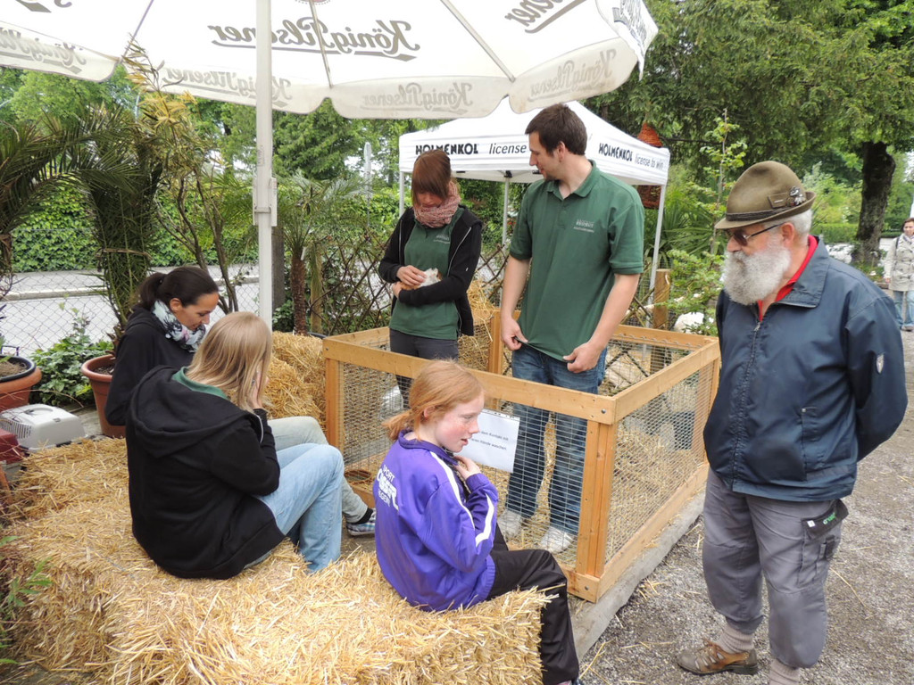 DSCN2474_JPG-1369694221