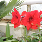 DSCN2443_JPG-1369694175