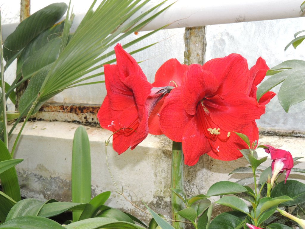 DSCN2443_JPG-1369694175