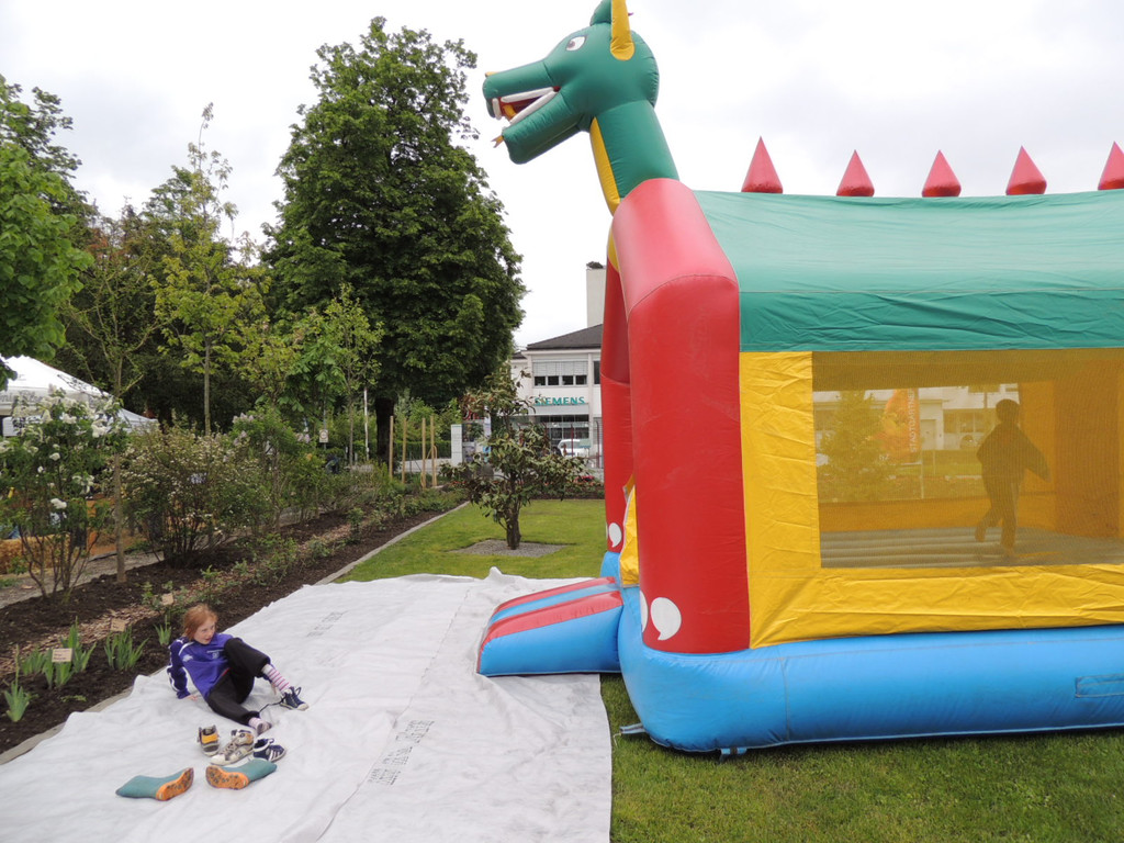 DSCN2469_JPG-1369694214